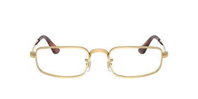 RB3927V Optics By A$AP Rocky