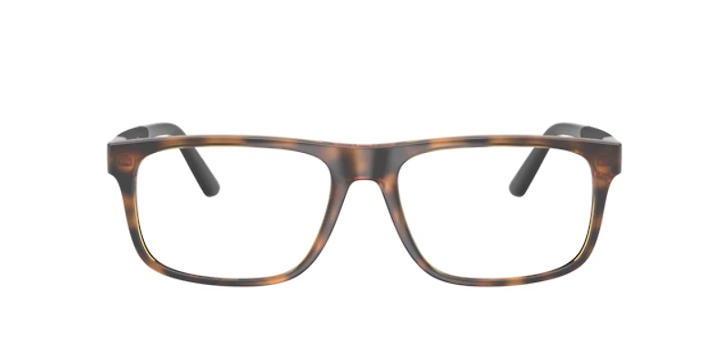 Polo Ralph Lauren Man Shiny Dark Havana