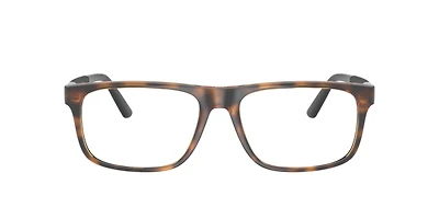 Polo Ralph Lauren Man Shiny Dark Havana