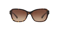 Coach Woman Dark Tortoise