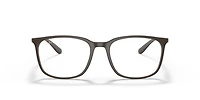 RB7199 Optics