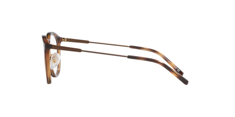 LENSCRAFTERS Man Shiny Havana