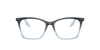 RB5422 Optics
