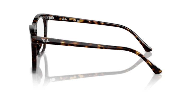 Ray-Ban Unisex Havana