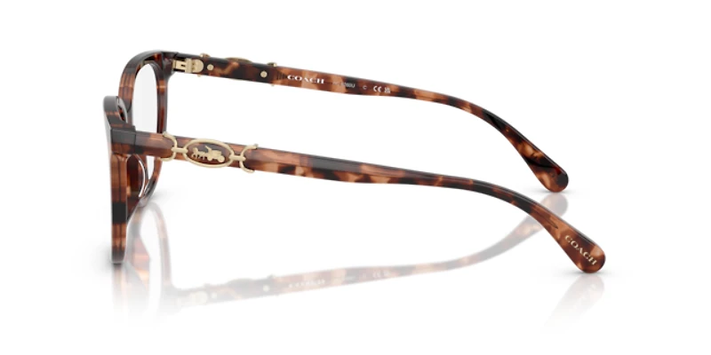 Coach Woman Peach Tortoise