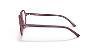 Ray-Ban_Lenses Unisex Transparent Pink
