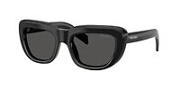 PR D07S