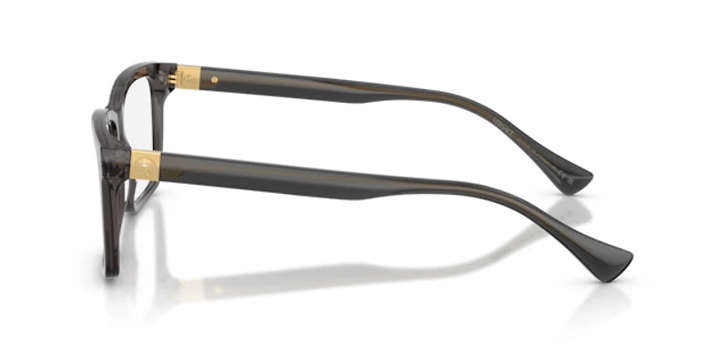 Versace Man Transparent Grey