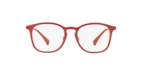 RB8954 Optics