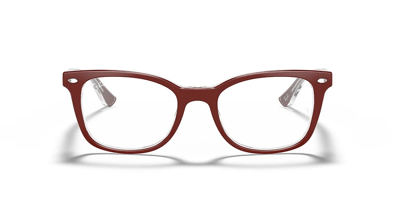 RB5285 Optics