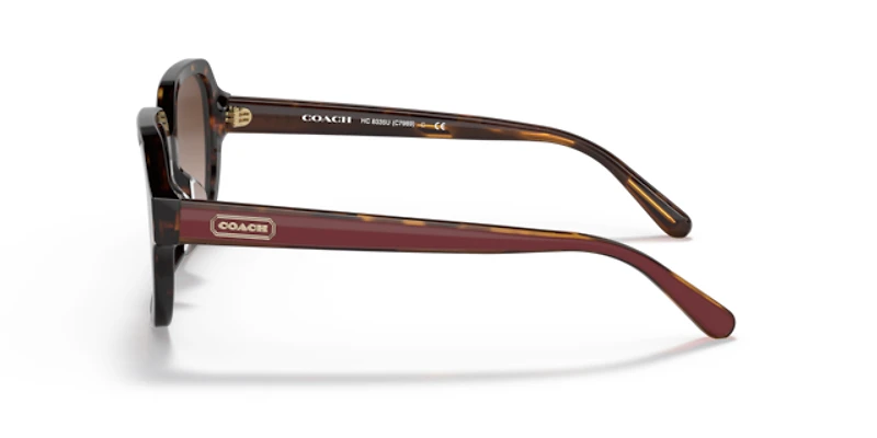 Coach Woman Dark Tortoise