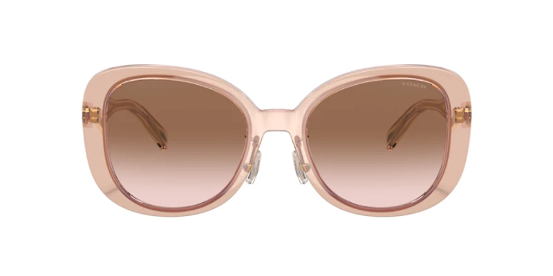 Coach Woman Transparent