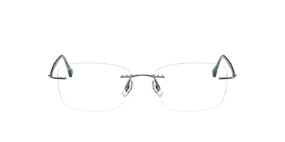 RB8725 Optics