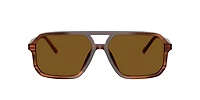 Dolce&Gabbana Man Brown On Striped Brown