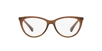 LENSCRAFTERS Woman Shiny Transparent Brown
