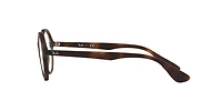 Ray-Ban Unisex Havana