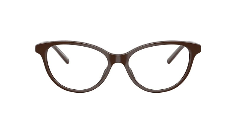 Armani Exchange Woman Shiny Dark Brown