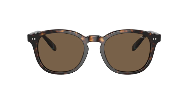 Polo Ralph Lauren Man Shiny Dark Havana