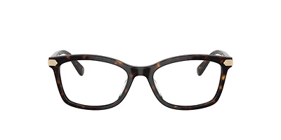 Coach Woman Tortoise