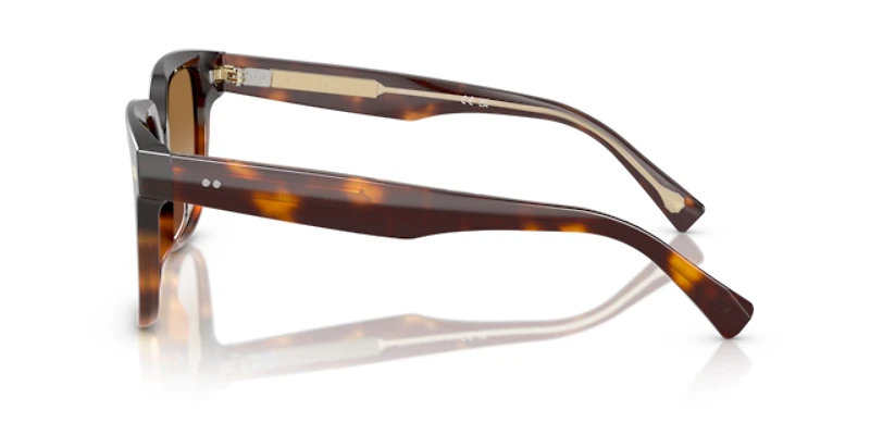 Brunello Cucinelli Woman Havana Gradient