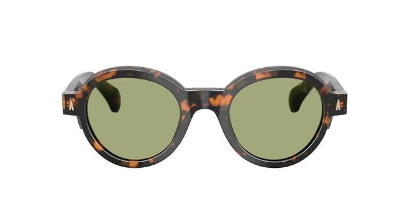 Moncler Unisex Brown Green Havana