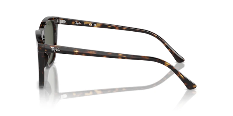 Ray-Ban Unisex Havana