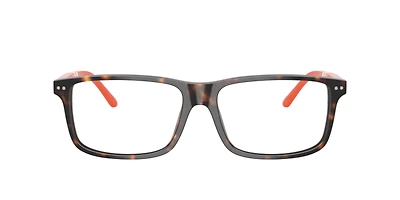 Polo Ralph Lauren Man Dark Havana