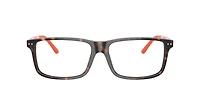 Polo Ralph Lauren Man Dark Havana