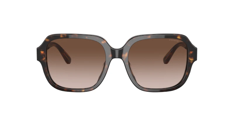 Coach Woman Dark Tortoise