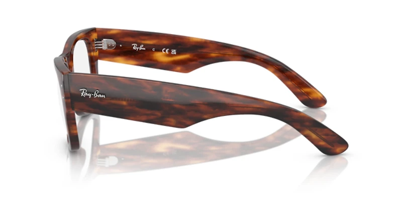 Ray-Ban Unisex Striped Havana