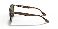 Ray-Ban Unisex Light Havana