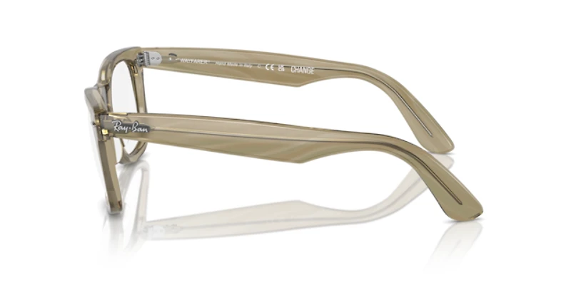 Ray-Ban Unisex Photo Striped