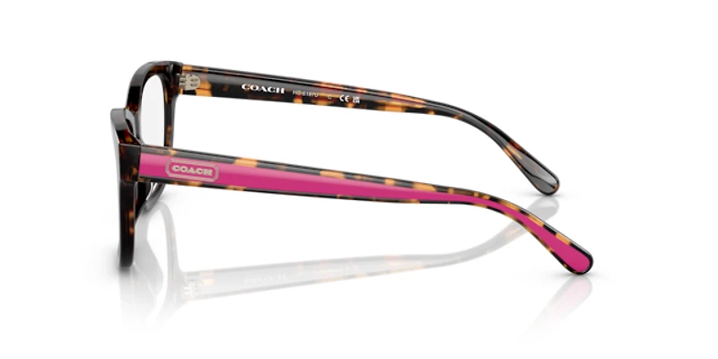 Coach Woman Dark Tortoise