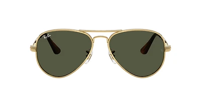 RB3925 Aviator Max