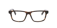 Gucci Man Tortoise