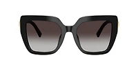 DG4538