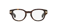 Gucci Woman Tortoise