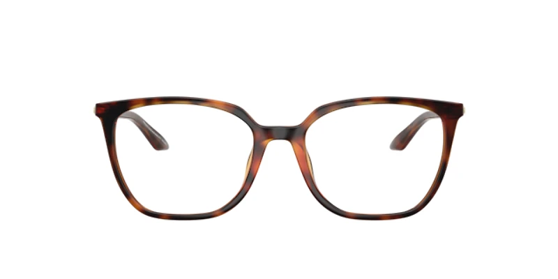 Armani Exchange Woman Shiny Havana