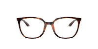 Armani Exchange Woman Shiny Havana