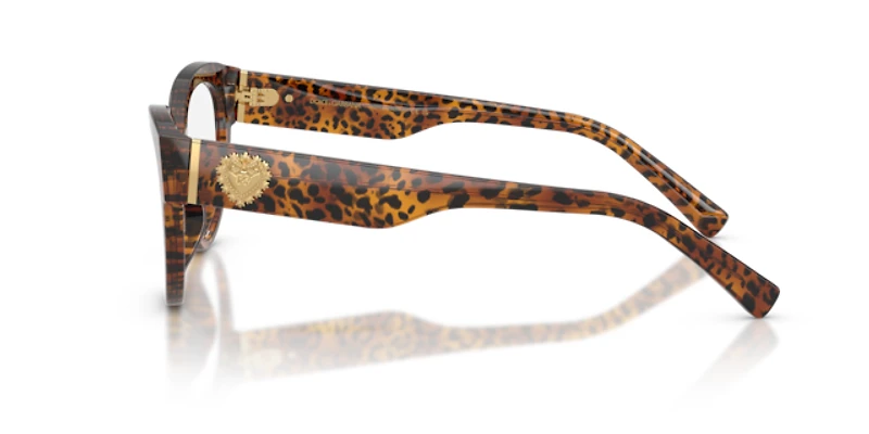 Dolce&Gabbana Woman Leo Transparent