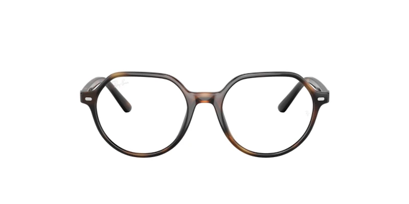 Ray-Ban Unisex Havana