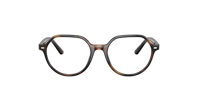 Ray-Ban Unisex Havana