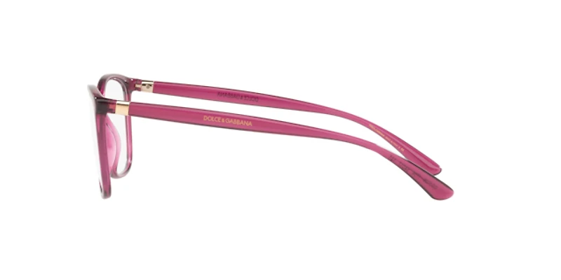 Dolce&Gabbana Woman Transparent Dark Cherry