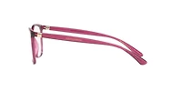 Dolce&Gabbana Woman Transparent Dark Cherry