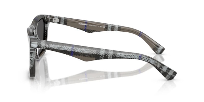 Burberry Man Check Lichen