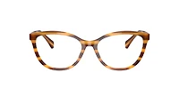 Ralph by Ralph Lauren Woman Striped Brown
