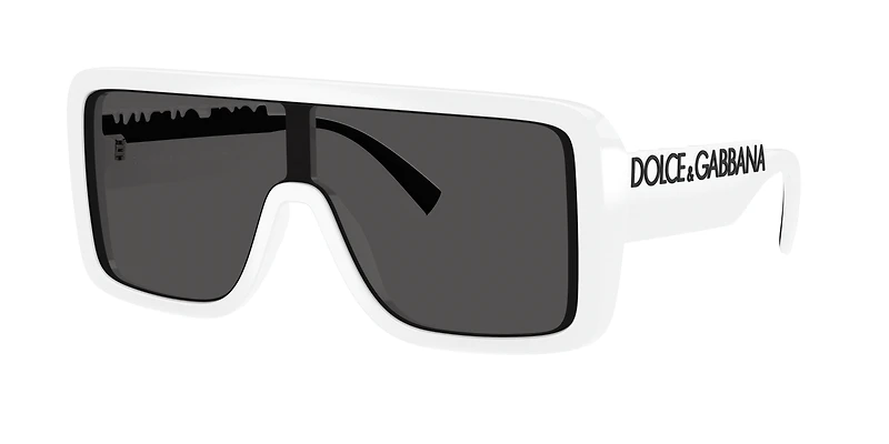 DG6204