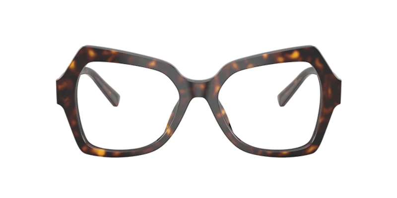 Dolce&Gabbana Woman Havana