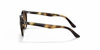 Ray-Ban_Lenses Unisex Havana