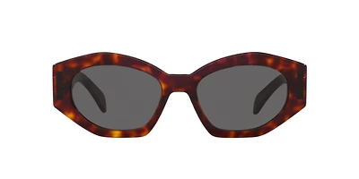 Celine Woman Tortoise Yellow